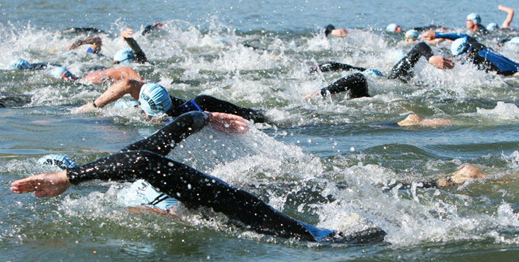 Sea swimmers